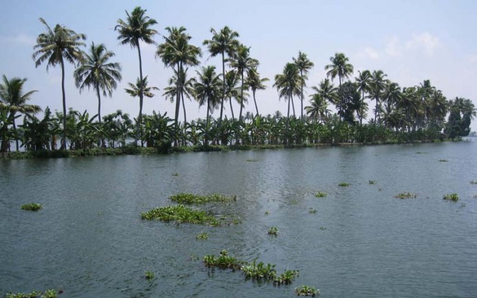 Backwaters site