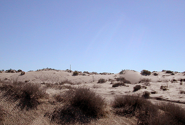 The thrilling dunescape that is soon to be 4th at Las Palomas and...