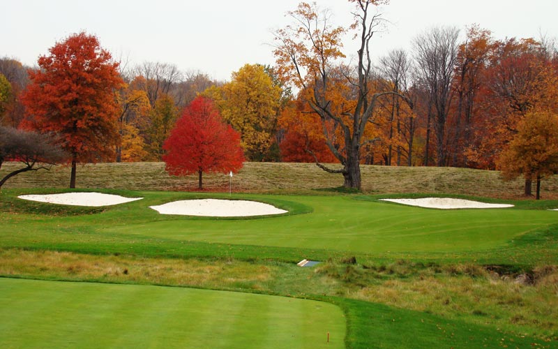 A draw at the barren tree is the perfect play as the tee ball will hit and trickle down the right to left slope toward the day's hole location.
