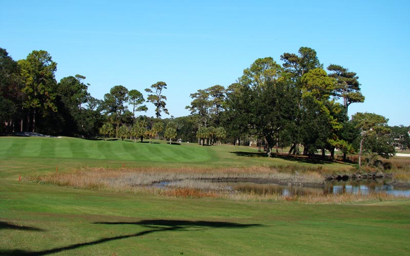 The tidal marsh becomes the dominant feature of the next two holes, though the trees on the inside of this dogleg right push the golfer away from it off the tee.
