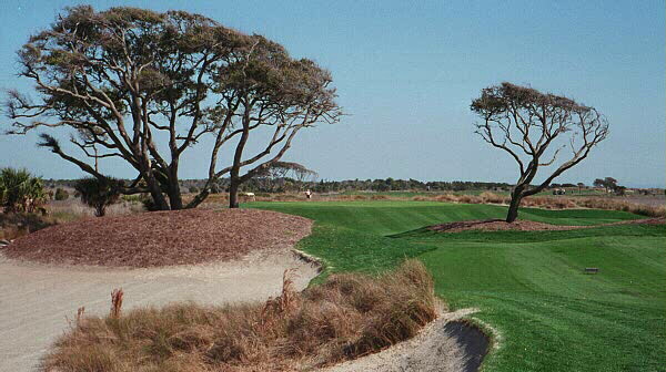 The east coast of the United States hasnt seen a site as good as The Ocean Course at Kiawah since William Fynn re-designed Shinnecock Hills in 1930.
