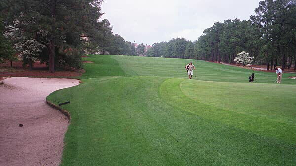 Many of the golfers in the 2001 U.S. Womens Open landed into the upslope on holes like the 2nd at Pine Needles. The resulting fairway wood to this green often met with a bogey. 