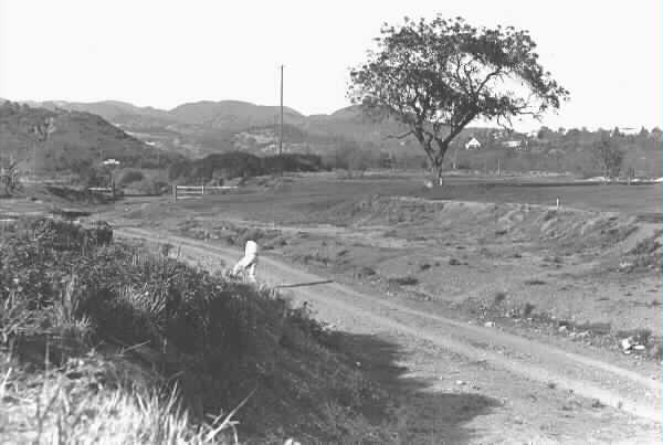 The barranca on the first hole at Riviera, circa 1927.