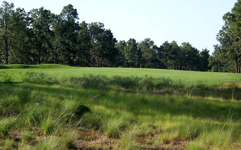 Pine Needles, Golf in Pinehurst, Donald Ross, Kelly Miller
