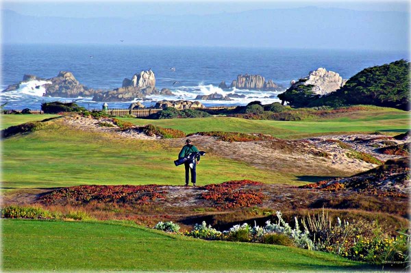 No chance this golfer wishes he was anywhere else other than walking down the 12th fairway at Pacific Grove.