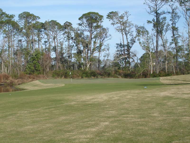 Approach to the thirteenth green