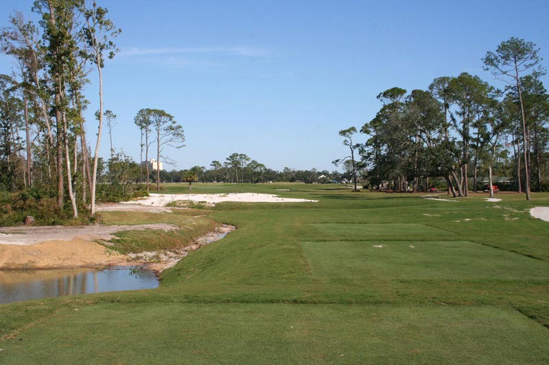 Tee shot at short par four sixteenth