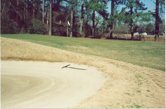 The original greens at Pine Crest are difficult to hit as they are pushed-up and slope away on all sides.