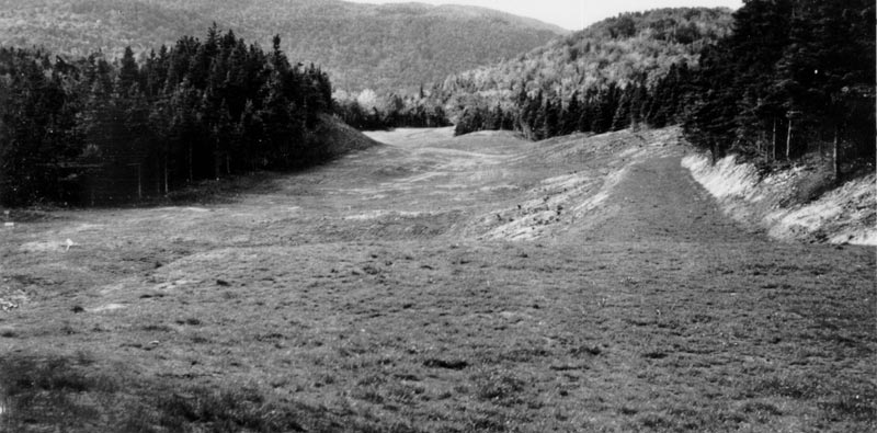 The visual intimidation from the tee of the 7th hole, Killiecrankie, shows the terrain upon which the course was routed.