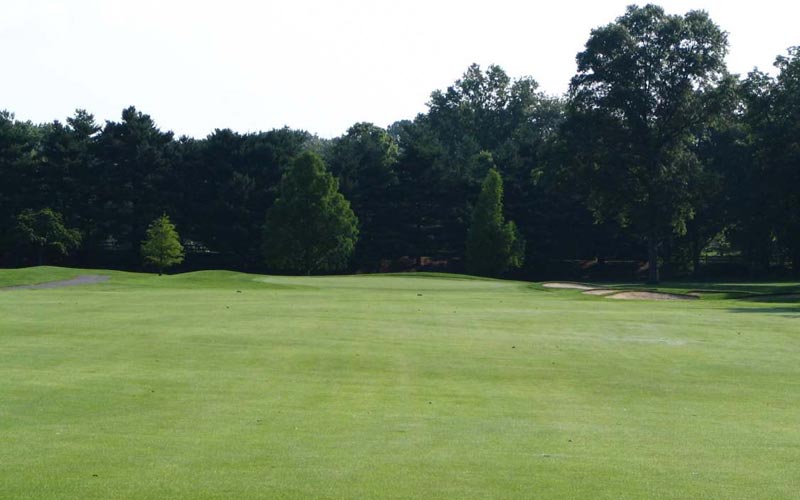 A shot of the fifteenth hole before the renovation.