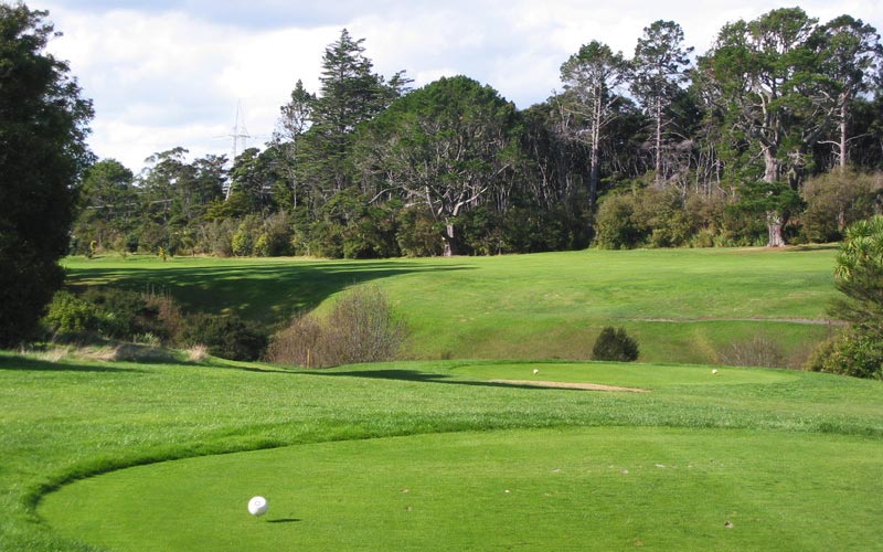 The fifteenth hole - note the diagonally situated ravine to be cleared with the drive.