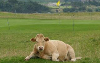 Brora Golf Club