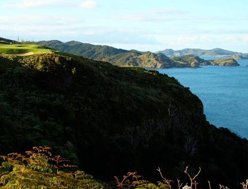 Kauri Cliffs (2008)