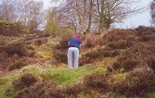 Royal Ashdown Forest Golf Course