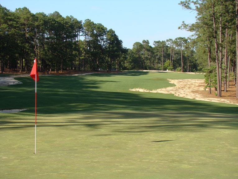 As seen from behind, the green angles toward the player's left edge of the fairway.