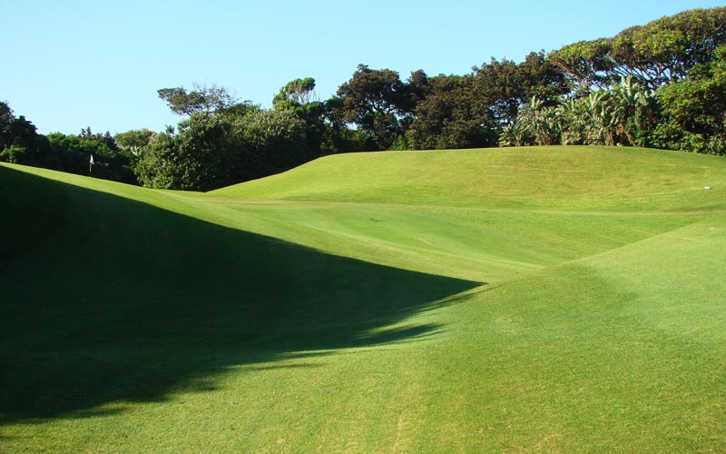 Durban Country Club, Golf in South Africa, Syd Brews, Laurie Waters