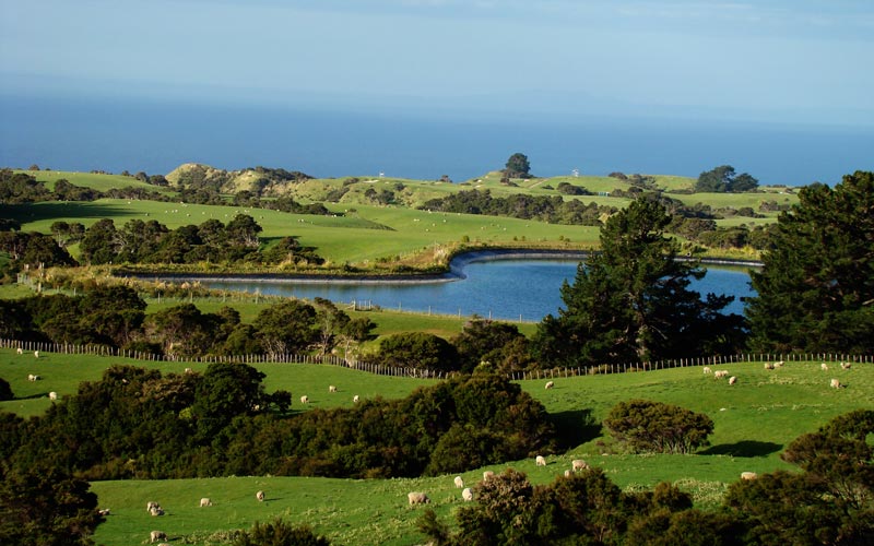 The storybook views from the cottages leave no doubt that the traveler is in New Zealand.