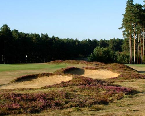 Swinley Forest Golf Course