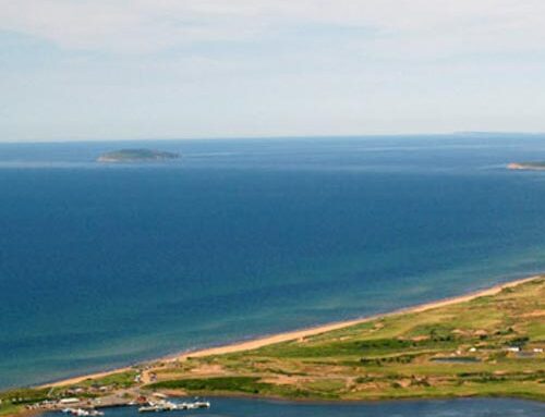 Cabot Links