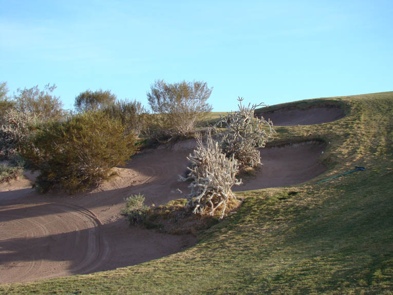… the course’s deepest bunker replete with bur sage, stag thorn Cholla, and creosote and enjoy the perfect angle into the eighteenth green.