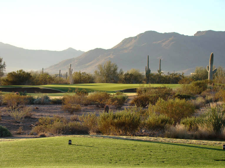 Many of the Saguaro greens feature broad slopes but the fifth hole is distinguished by its interior contours.