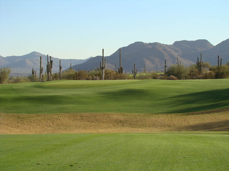 The Red Mountain serves as a distinctive backdrop for the approach at the sixth. It also has sacred significance for the Salt River Pima tribe that owns Coore & Crenshaw’s two other desert designs at Talking Stick. Coore is quick to acknowledge a Pinehurst influence for the abundance of short grass surrounding many of the greens.