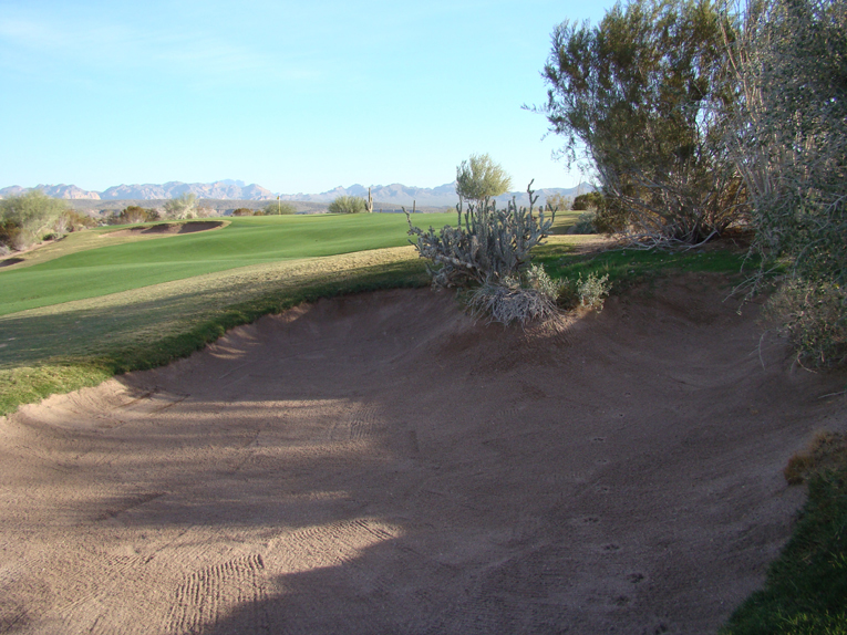 As demonstrated in this bunker to the right of the seventeenth fairway, coyotes are notoriously ill-mannered for raking behind themselves! 
