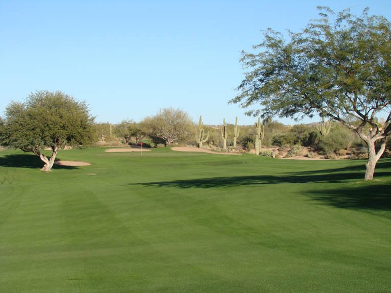 This photograph does not depict it well but in 1961 Lawrence had the opportunity/luxury to pull grass down and across a six foot deep wash that crossed in front of the eleventh green. What this photograph does highlight is the palo verde right and the mesquite left that the golfer needs to be mindful of when advancing his second shot up the fairway.