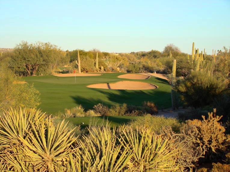 Not without humor, the members at Desert Forest have dubbed some of the yuccas around the course Johnny Bench and Yogi Berra as they catch anything that goes near them. The ones above are unnamed as they are just off the tee but what this photograph illustrates are the left and right wings to this 31 yard deep green. Totally different shaped shots are required depending on the day's hole location which is one of the reasons that better golfers are devotees of the course.