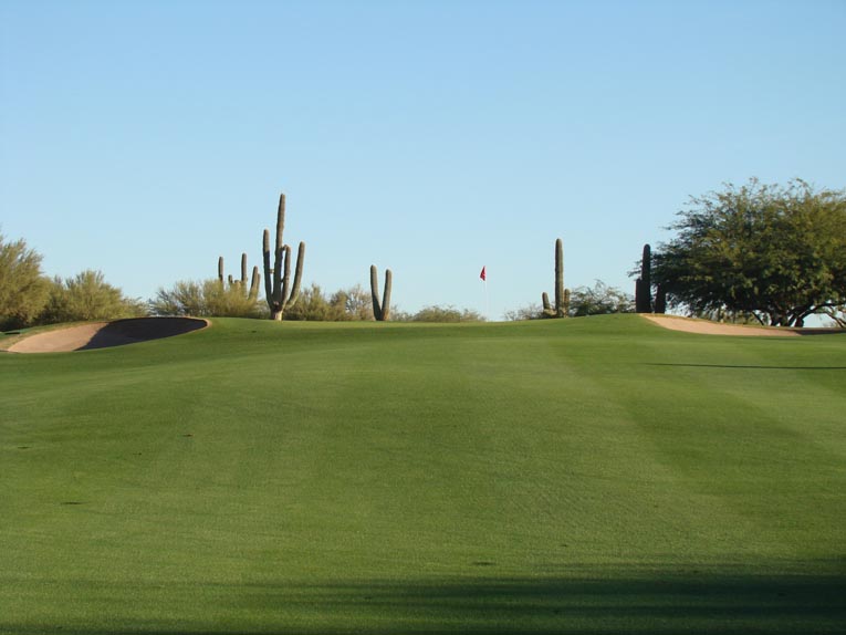 The uphill green sites at Desert Forest often appear simple but are actually complex affairs that feature broad slopes that beguile and frustrate. Lawrence's opening green sets the tone and creates palpable tension. The approach must be deep enough to carry the front slope and avoid being rejected and sent three to ten yards back into the fairway and yet not be too deep, leaving a nervy downhill putt.