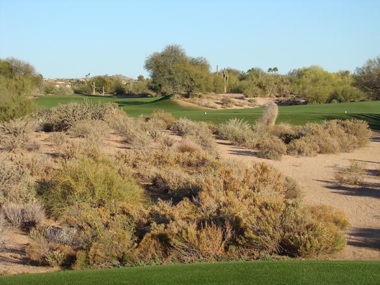 The second at Desert Forest is one of the great holes in the Southwest and beyond. It's great feature is the exposed desert crater that Lawrence employed as a central hazard, bestowing both strategy and beauty.