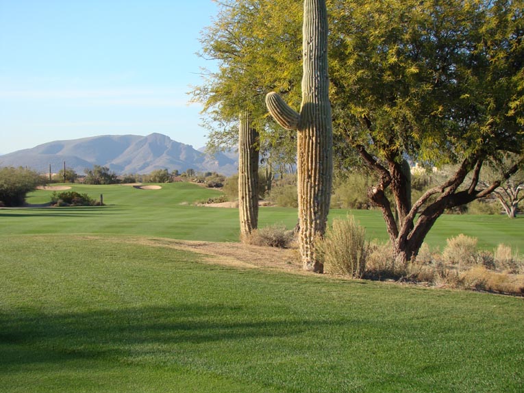 The left and right fairways merge together 260 yards from the tee.