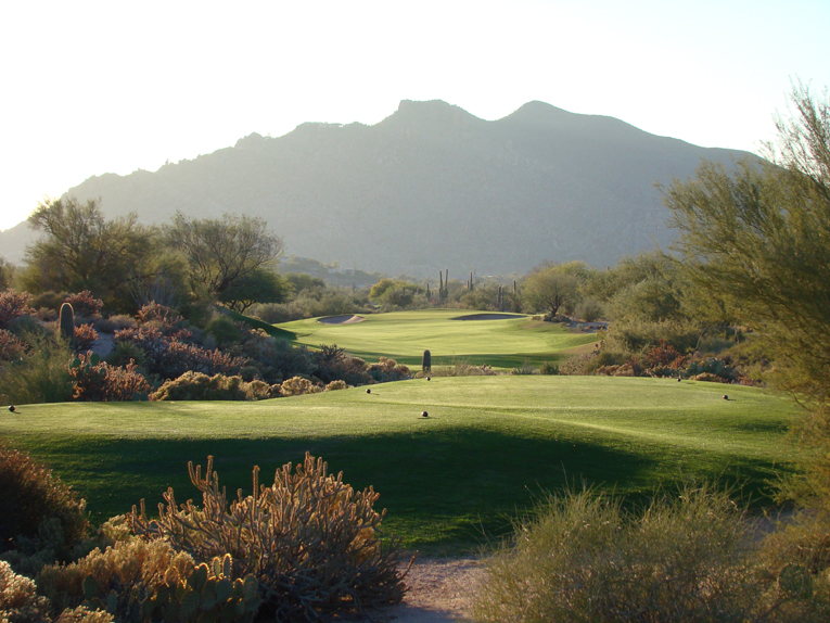 The charms of playing golf at Desert Forest under the clear blue skies against the backdrop of Black Mountain are as enchanting today as over four decades ago when Red Lawrence built here the world's first desert course. 