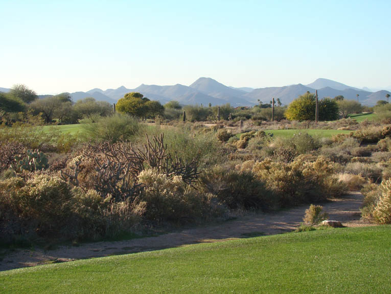 The desert broom, staghorn, saguaro, creosote bush, turpentine bush, palo verde and mesquite seen above provide a rich and varied texture to a game of golf at Desert Forest. Note the absence of all non-indigenous plant life.