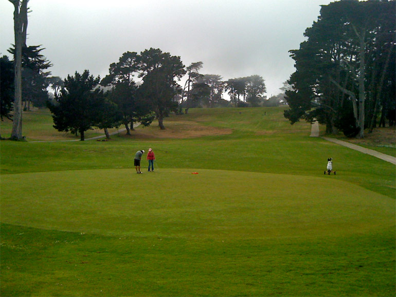 From behind the green, one can see the steep downslope in the 13th fairway. The maintenance practices mean that good tee shots tend to stop on the downslope rather than rolling to the bottom.