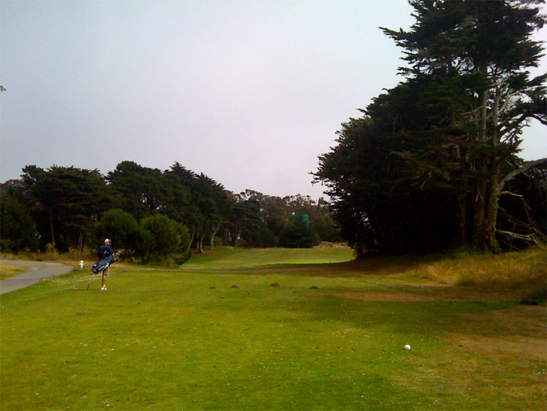 ...but the tee shot itself is a bit strange. The green is in line with the big tree trunk on the right. No joke!