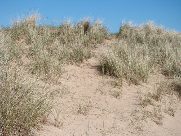 Don’t ask how this perspective from the right dunes came to be taken!