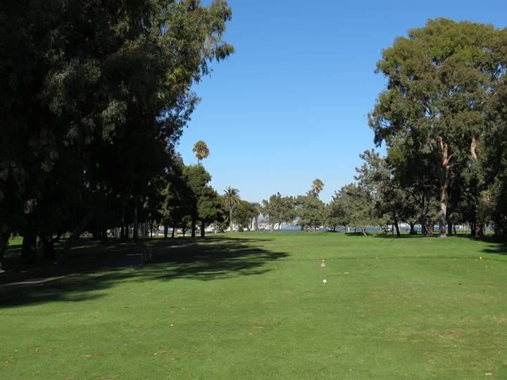 The thick conglomeration of trees just off the left of the twelfth tee box negates any chance at driving the green (located through the trees and just to the left of the yellow stakes in the ground), which in turn hurts the design merit of the hole.