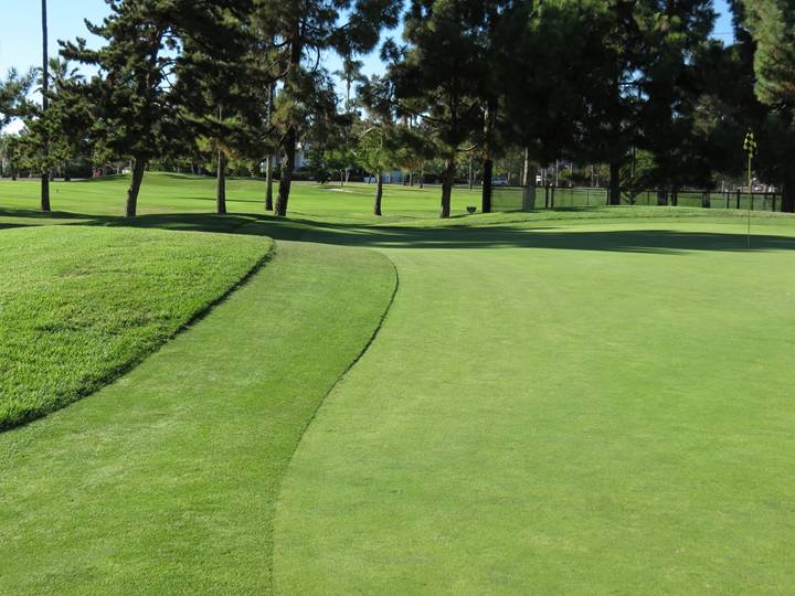 This mound at the front left of the twelfth green helps feed approach shots onto the putting surface. Putting from the front of the green to left hand hole locations can be tricky thanks to this mound, as well.