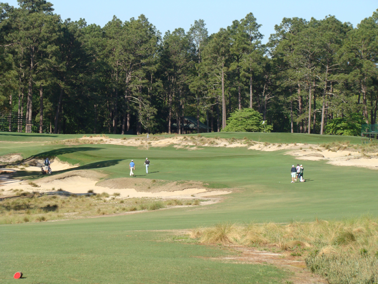 Golf in the Sand Hills of North Carolina is epitomized by the fifth hole at Pinehurst No. 2. The tiger will struggle to get his desired score while the less accomplished golfer can bumble along the wide fairway without fear of losing a ball. 