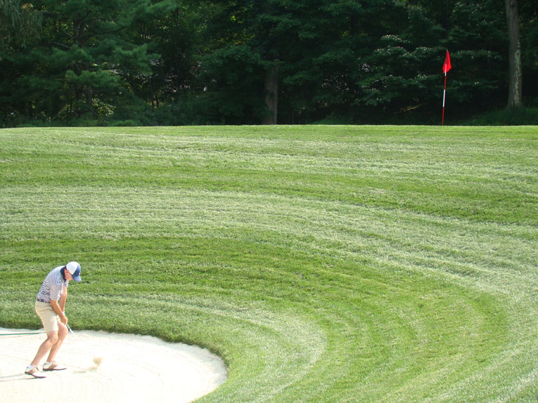 Numerous pot bunkers would fit inside the mammoth bunker front left of the 7,200 square foot green. Not to harp on it, but Whippoorwill represents its own brand of bold golf, even within the Macdonald/Raynor/Banks family of courses. Remember: this course was built in the age of hickory golf. Imagine extracting your ball from this crater with a niblick (a.k.a. nine iron)! Banks would undoubtedly think that we are all wimps, perhaps rightly so.