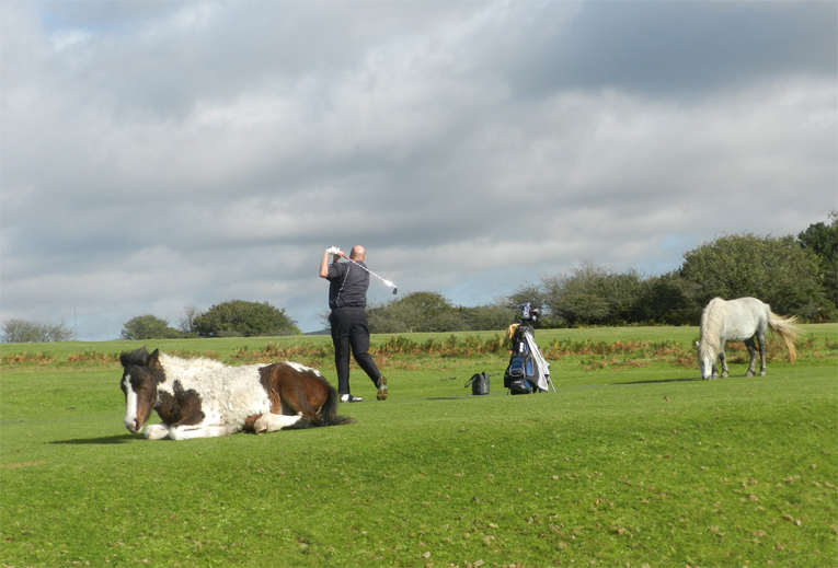 Golf can take you to all sorts of neat spots if you let, including the range at Yelverton.