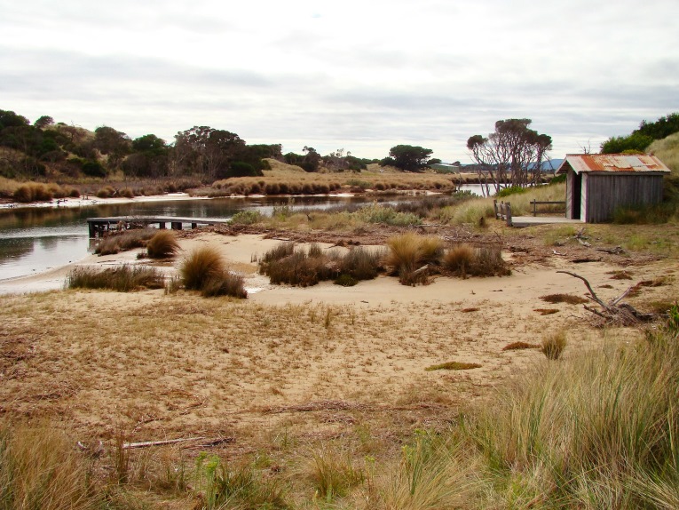 The fifteenth tee borders the Great Forester River and one senses the laconic pace of life that makes Tasmania special. 