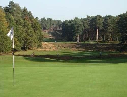 Sunningdale (Old) [2014]