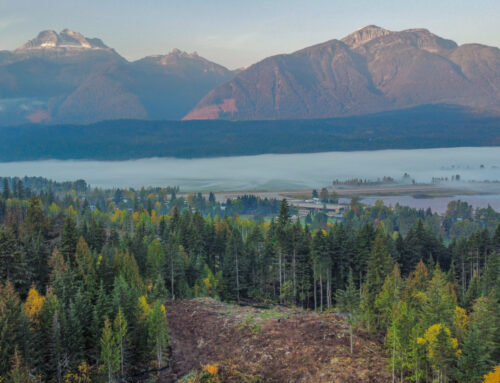 Early Thoughts From A Too-Early Visit To Cabot Revelstoke