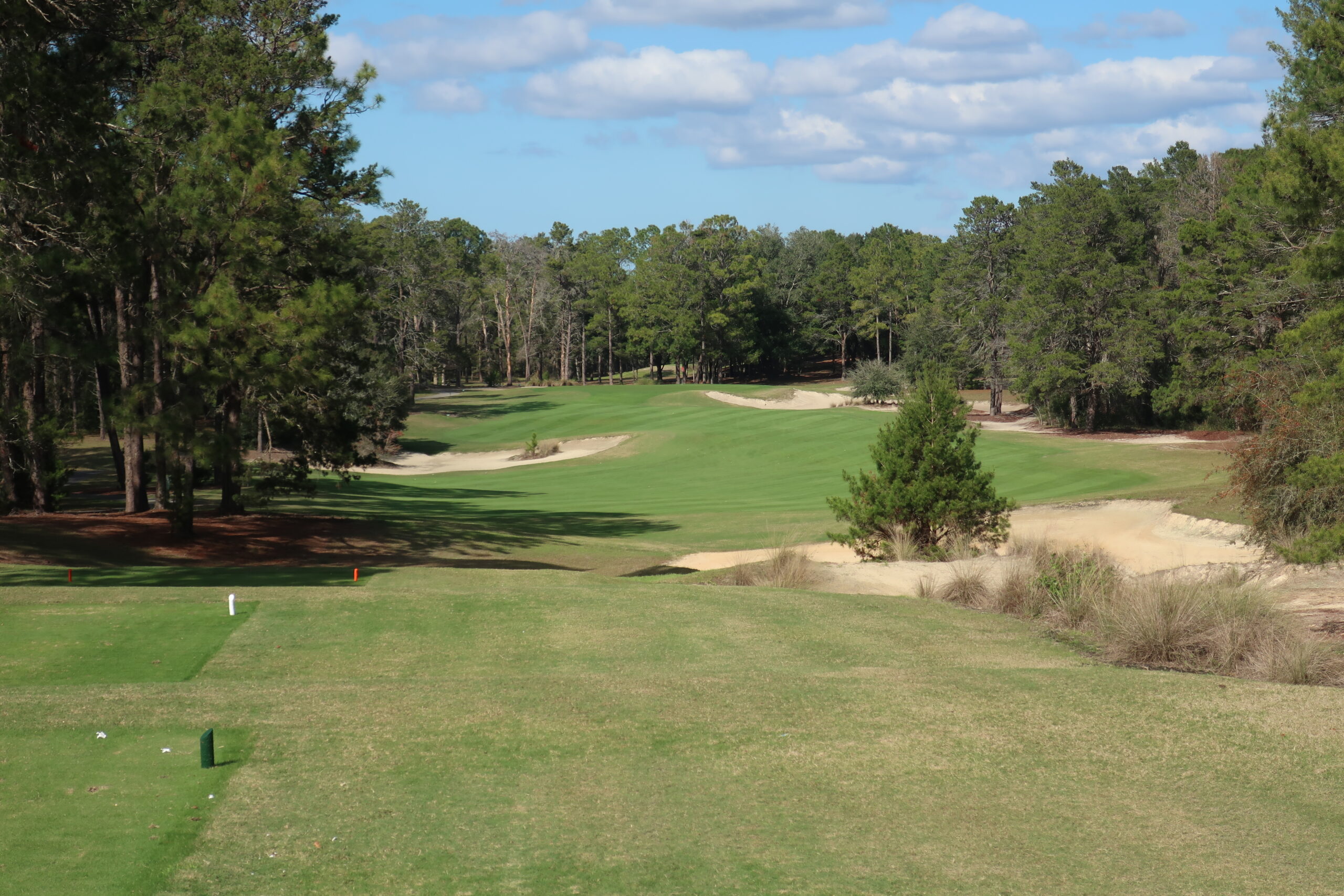 1st hole, World Woods (Pine Barrens)