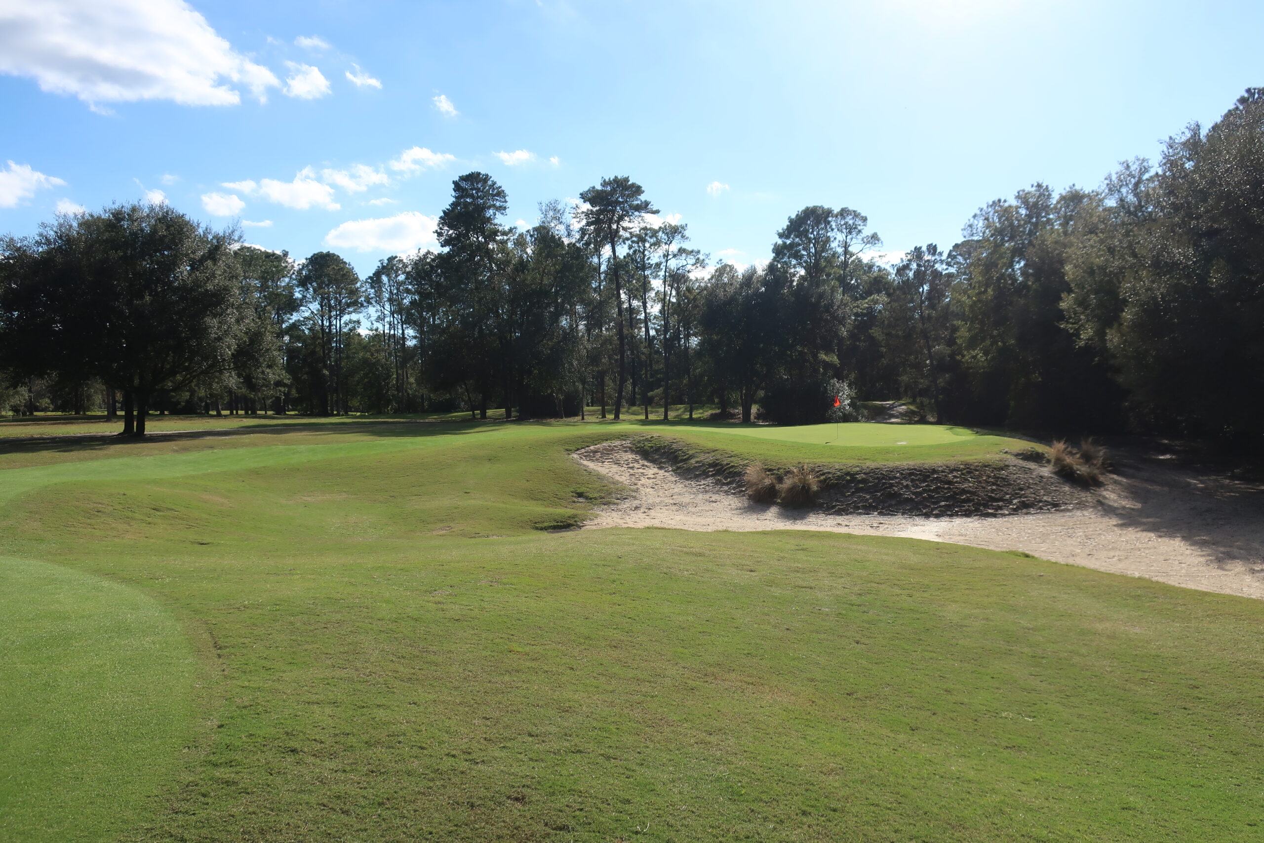 8th hole, World Woods (Pine Barrens)