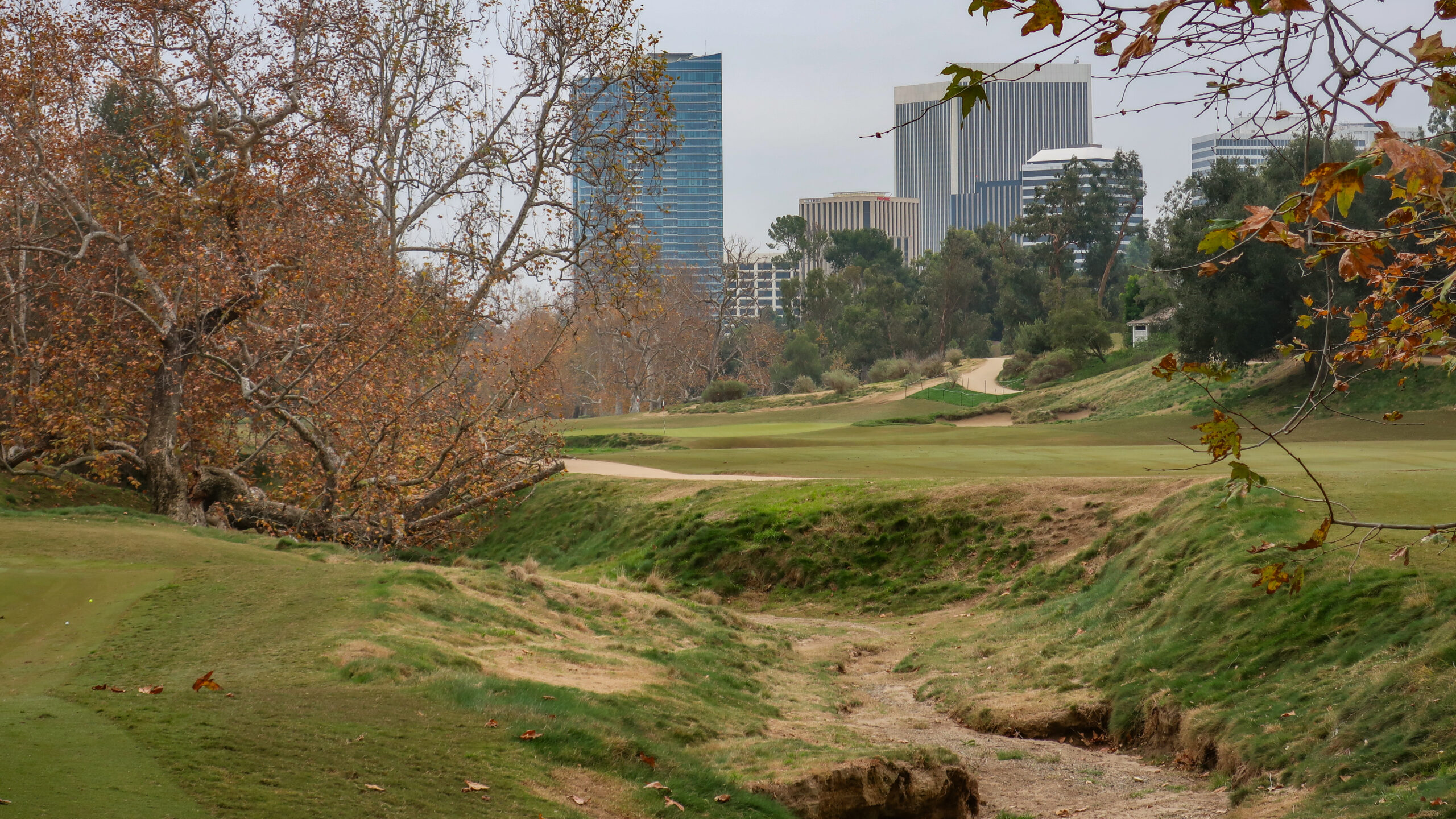 The barranca at the 8th hole on the North at Los Angeles Country Club