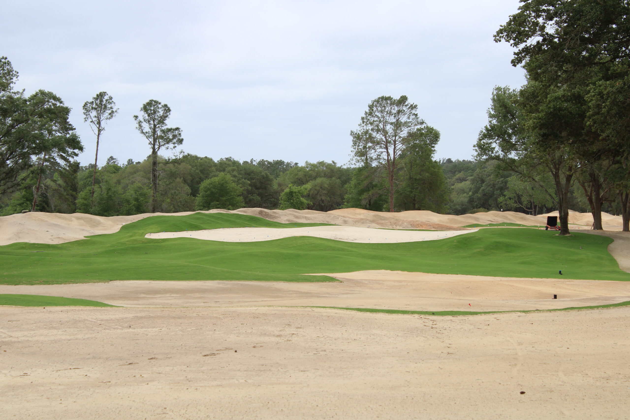 1st hole, Cabot Citrus Farms (Squeeze) grassed