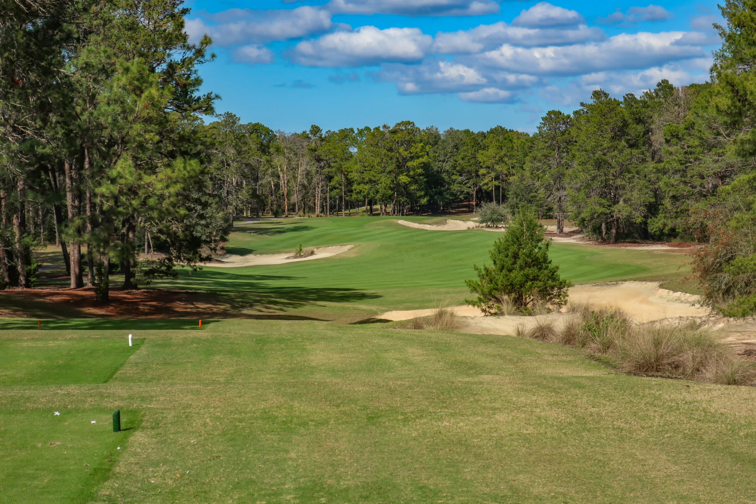 1st hole, World Woods (Pine Barrens)